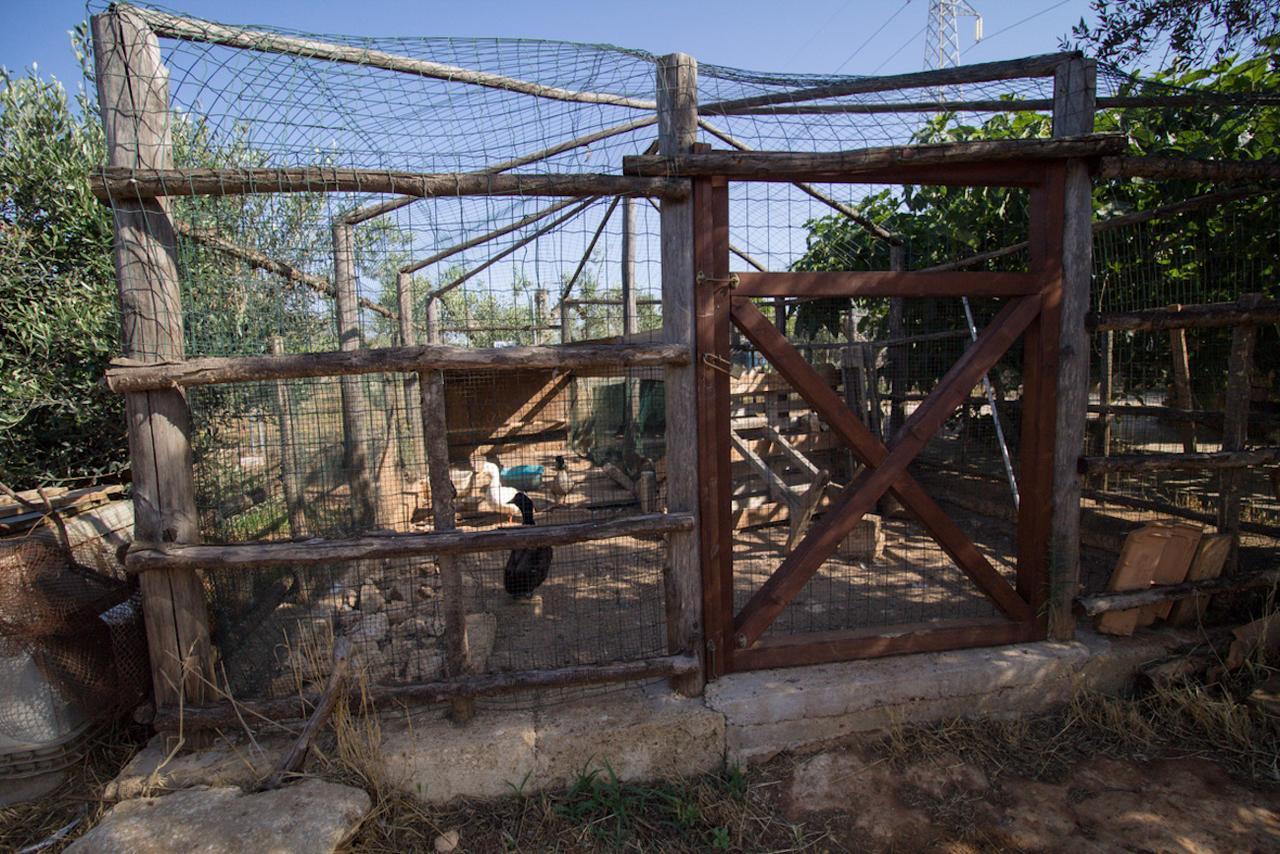 Biancolivo Gallipoli In Salento المظهر الخارجي الصورة