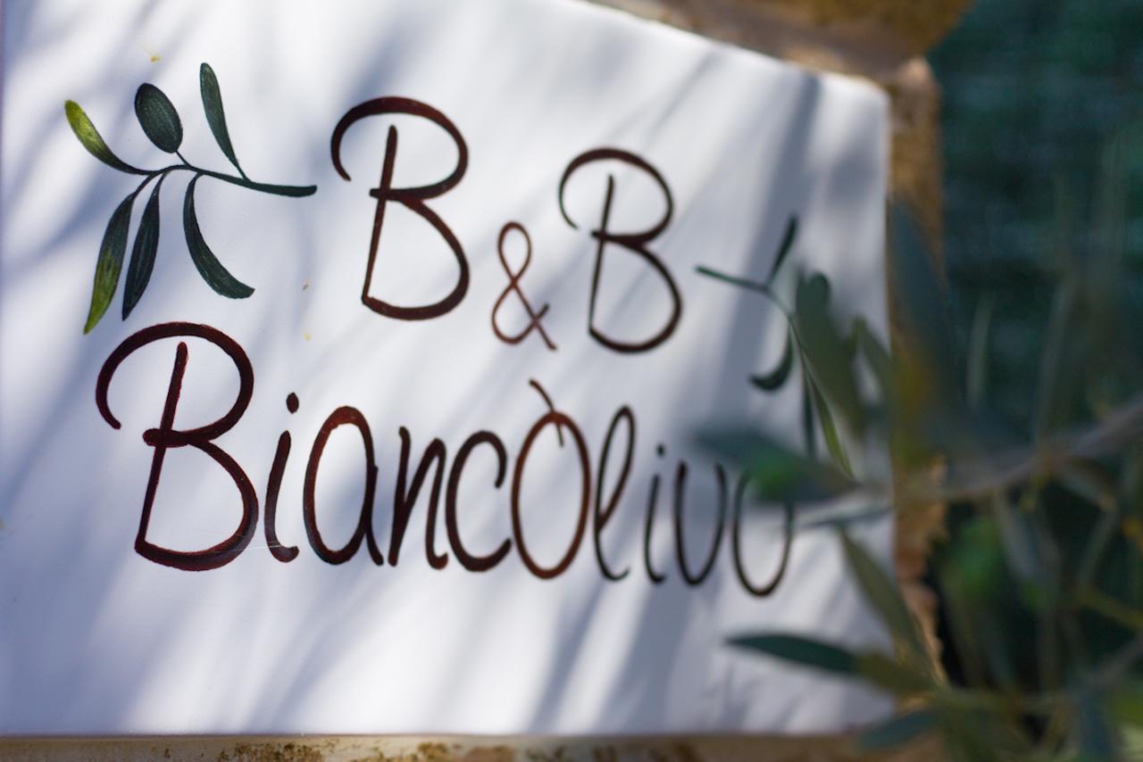 Biancolivo Gallipoli In Salento المظهر الخارجي الصورة